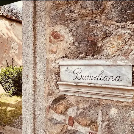 La Bumeliana Sul Mare - Lo Spiffero E La Figlia Del Sole