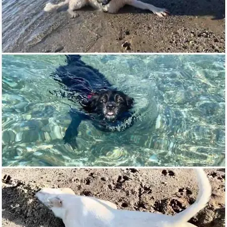 La Bumeliana Sul Mare - Lo Spiffero E La Figlia Del Sole Пиццо